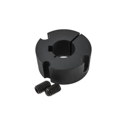 Konik Burçlar (Taper Bush)